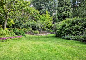 Optimiser l'expérience du jardin à Saint-Pancrasse